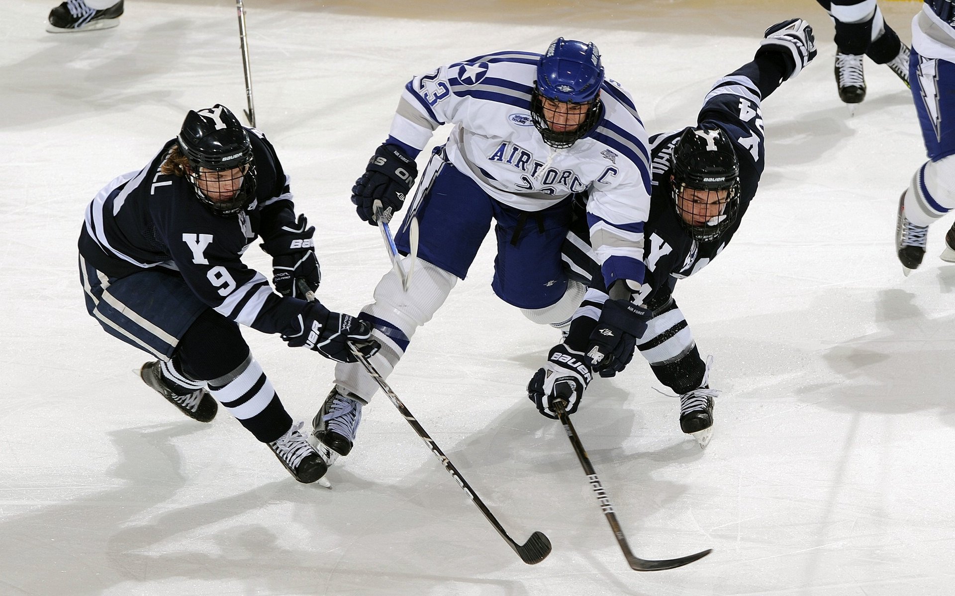 城市体育场馆“智慧管理”系统正式启用,开启体育服务新篇章